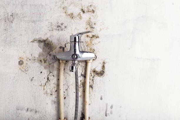 Professional Mold Removal in Leavenworth, KS
