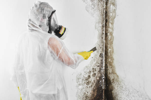 Water Damage Restoration in Leavenworth, KS