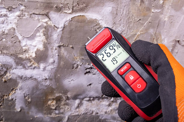Best Commercial Mold Removal  in Leavenworth, KS