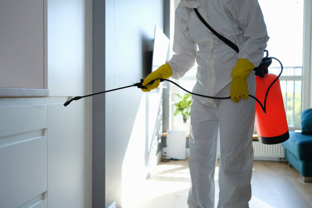Best Local Mold Removal Service  in Leavenworth, KS