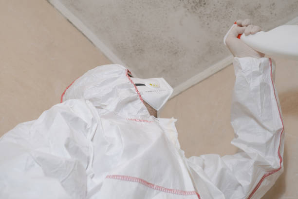 Best Best Mold Removal Companies  in Leavenworth, KS