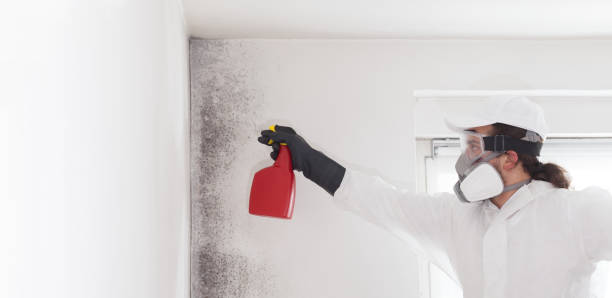 Best Certified Mold Removal  in Leavenworth, KS