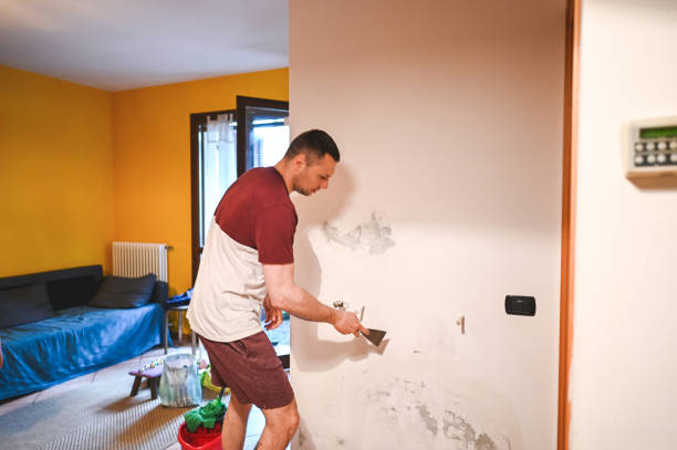 Best Black Mold Removal  in Leavenworth, KS