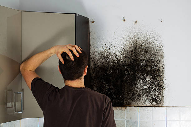 Home Mold Removal in Leavenworth, KS